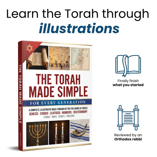 Torah Made Simple │ The Illustrated Guide to All Five Books